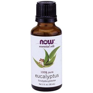 画像1: Eucalyptus Oil, 1 OZ