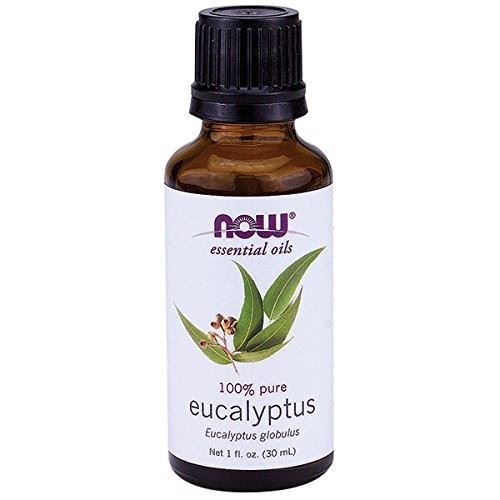 Eucalyptus Oil, 1 OZ